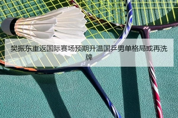 樊振东重返国际赛场预期升温国乒男单格局或再洗牌 | PGemulator